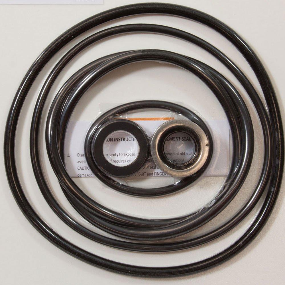 All Seals  O-Ring Kit Sta-Rite Dyna-Glass and J-Series Pump Rebuild Kit