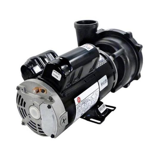 Waterway  Executive 48-Frame 1-1/2HP Dual-Speed Spa Pump 2in Intake 2in Discharge 115V