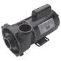 Executive 56-Frame 2HP Single-Speed Spa Pump, 2in. Intake, 2in. Discharge, 230V