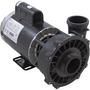 Executive 56-Frame 2HP Single-Speed Spa Pump, 2in. Intake, 2in. Discharge, 230V