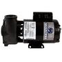 Executive 56-Frame 3HP Single-Speed Spa Pump, 2in. Intake, 2in. Discharge, 230V