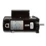 56C C-Face 3/4 HP Single Speed Full Rated Pool Filter Motor, 11.0/5.5A 115/230V