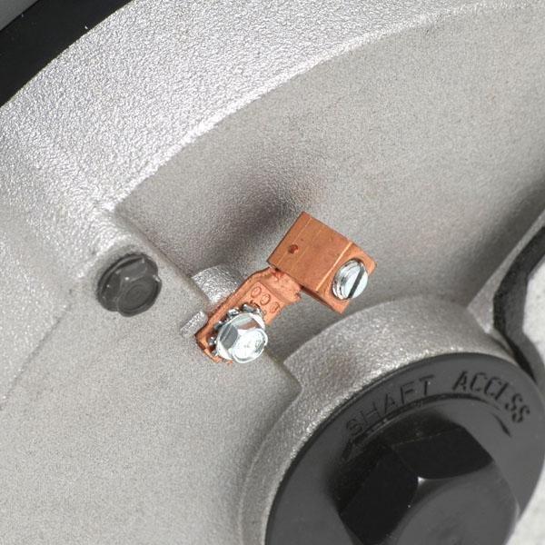 Guardian 56J C-Face 1-1/2 HP Single Speed SVRS Pool and Spa Motor, 18.6/9.3A 115/230V