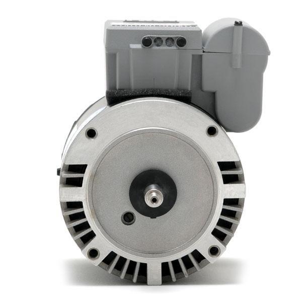 Guardian 56J C-Face 3 HP Single Speed SVRS Pool and Spa Motor, 230V