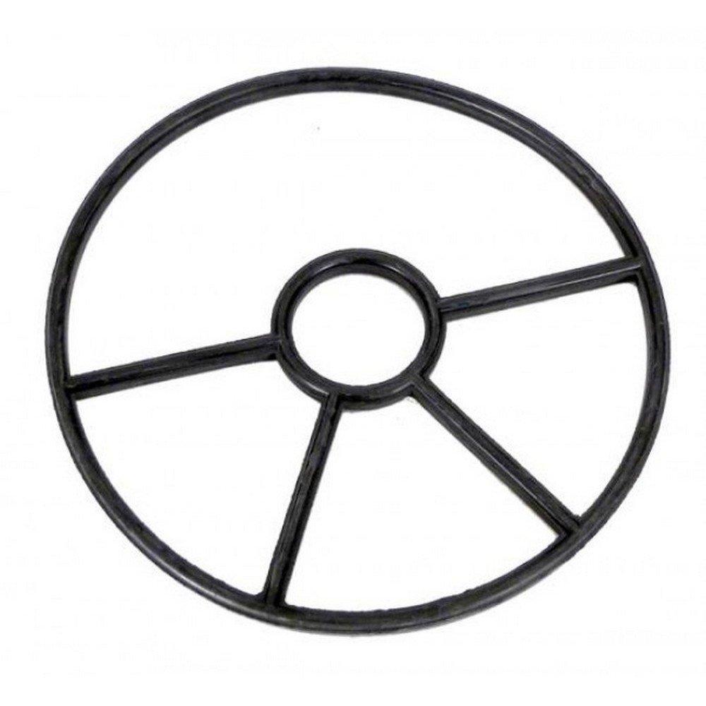 Astralpool  Gasket 2in.
