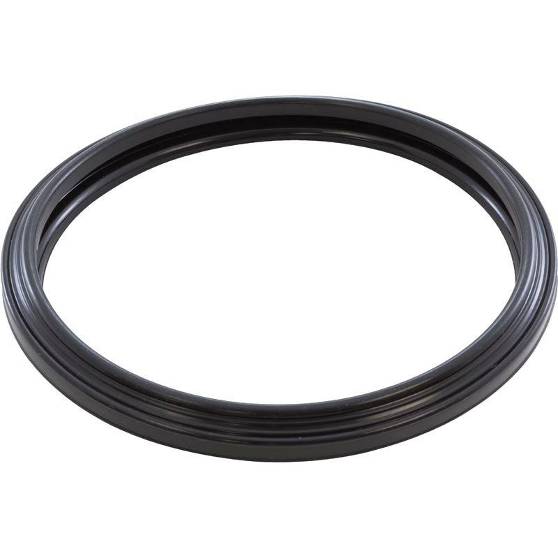 Zodiac Silicone Lens Gasket Leslie's Pool Supplies