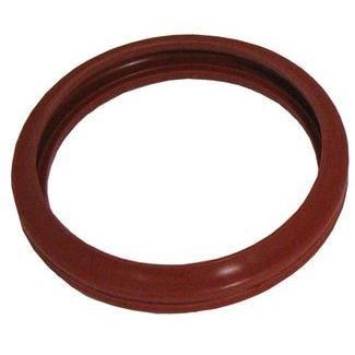 Zodiac - Silicone Gasket, Small Spa Light