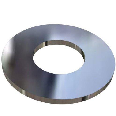 Hayward  Washer Flat 5/16in SS
