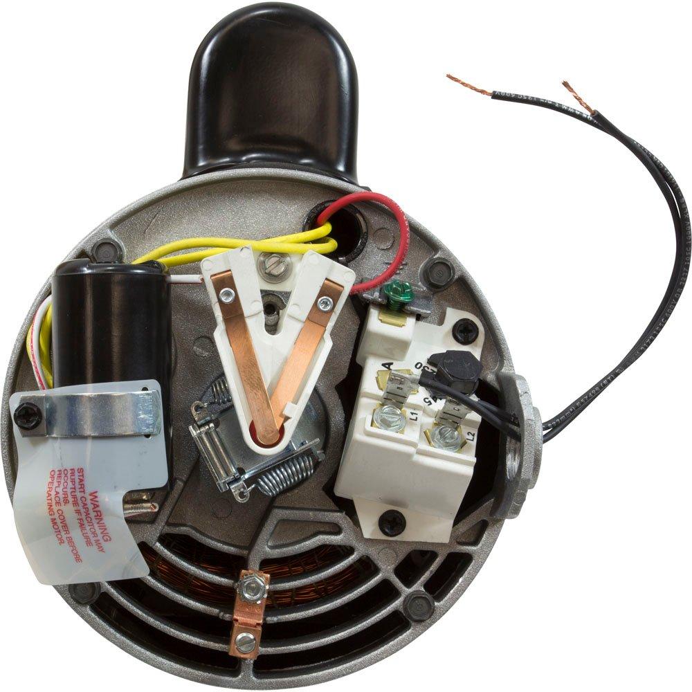 Hayward  Motor 3/4HP Full Tristar 115/208-230V