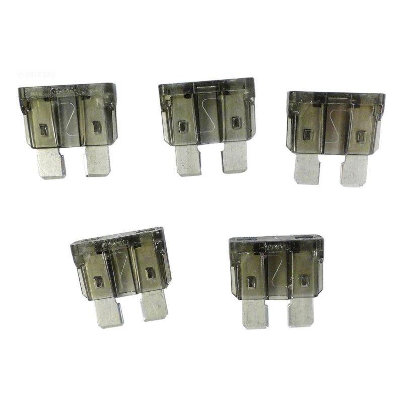 Hayward  Fuse Kit 1 Amp (5 Pack)