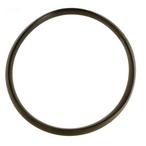 Pentair  Gasket Baker Hydro Ring