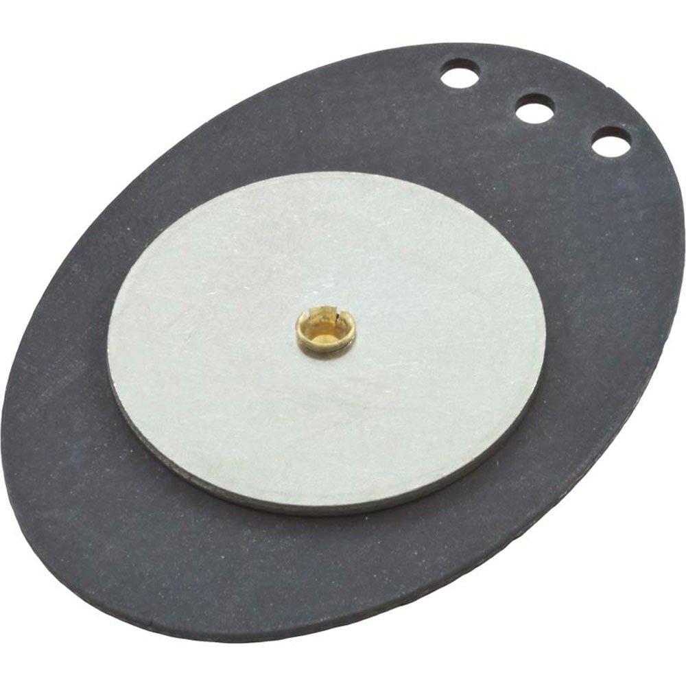 Pentair  Diaphragm 2in Valve Check