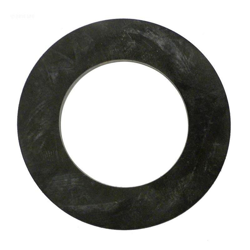 Pentair  Spring Check Valve Gasket for Sta-Rite System 2 Pool Filter