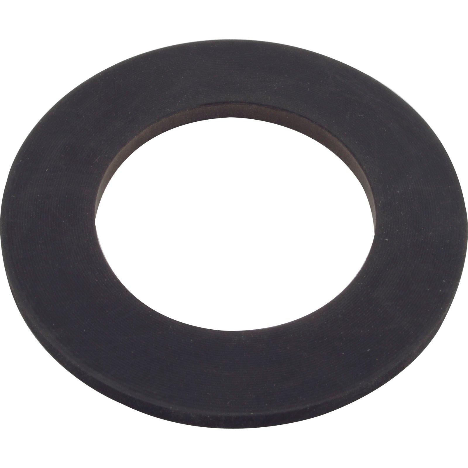 Pentair  Spring Check Valve Gasket for Sta-Rite System 2 Pool Filter
