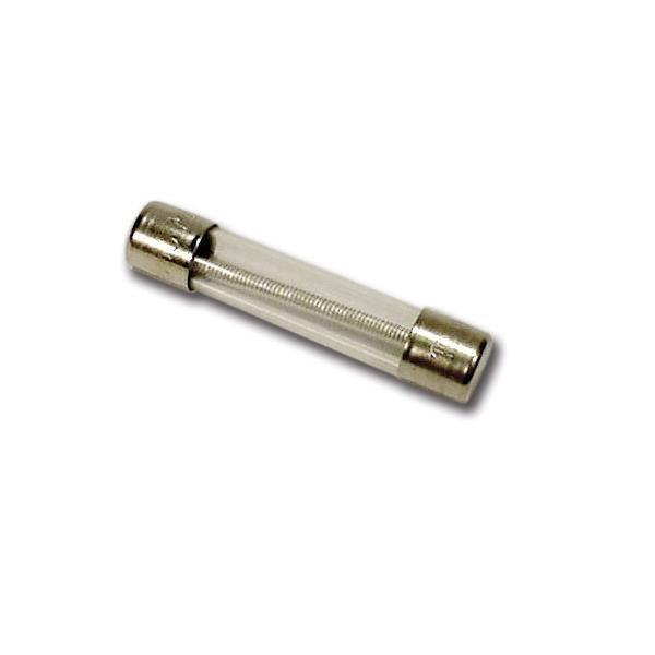 10A 250V Time Delay Fuse