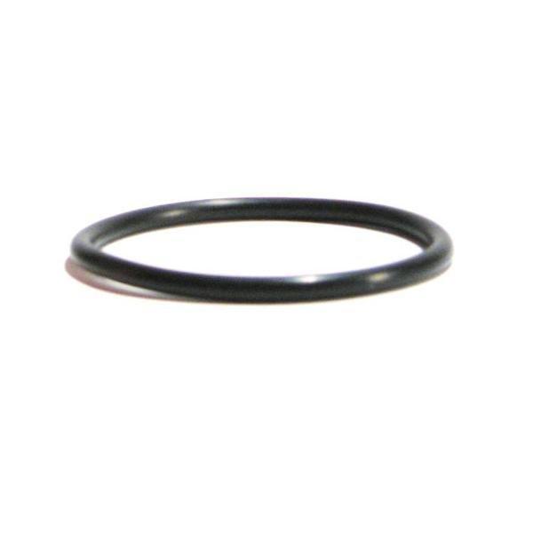 Gecko  O-Ring 226 for Aqua-Flo Flo-Master and Circ-Master Pumps