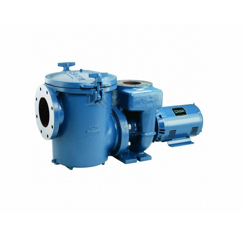 Pentair  C/CC-Series 5HP Three Phase Cast Iron Commercial Pool Pump 230V/460V