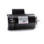 56C C-Face 3 HP Single Speed Full Rated Pool Filter Motor, 14.4A 230V