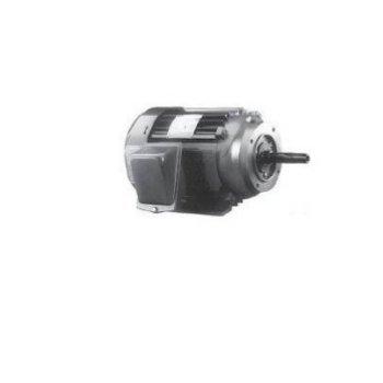 Century A.O. Smith - Industrial 182JM Horizontal 3HP Three Phase Close-Coupled Pump Motor, 200-230/460V