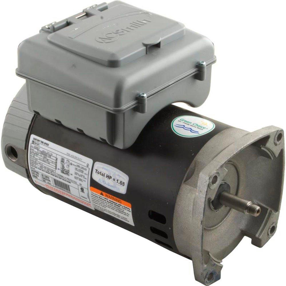 Premium Efficiency Square Flange 1/0.13 HP Dual Speed Pool and Spa Motor, 230V