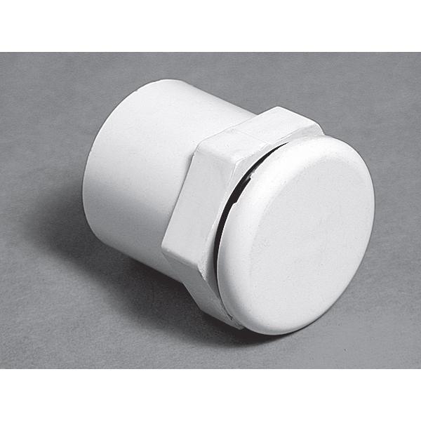 Waterway  Air Injector 1in SPG x 3/4in S with SS Escutcheon