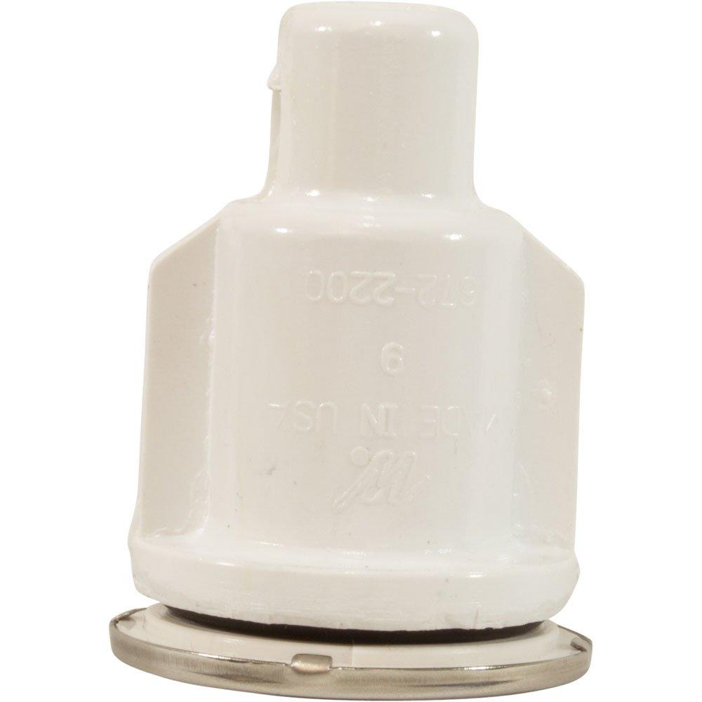 Waterway  Ozone Air Injector 3/8in Barbed Body SS Escutcheon
