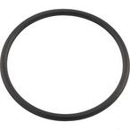 Pentair  Union O-Ring for Clean  Clear