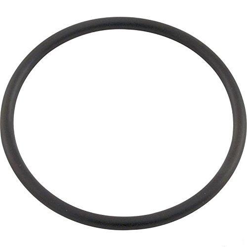 Pentair  Union O-Ring for Clean  Clear