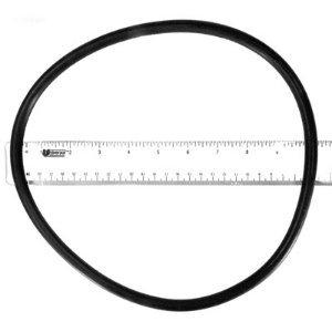 Hayward StarClear II Cartridge Filter Head ORing In The Swim