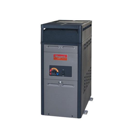 Raypak  014781  106A Propane Gas Pool Heater 105K BTU for 0-1999ft Elevation
