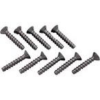 Hayward  Screw Set Long for Face Plate