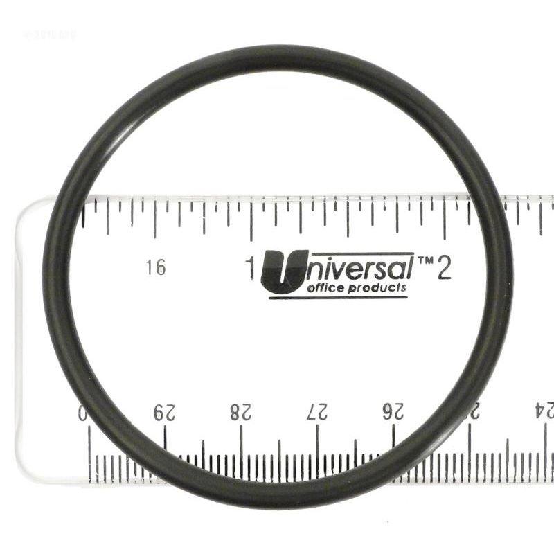 Sta-Rite  Gasket Bulkhead Adaptor