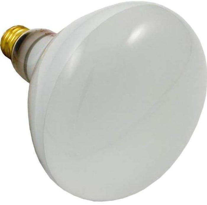 Sta-Rite - 500W 120V Reflector Flood bulb, screw-in