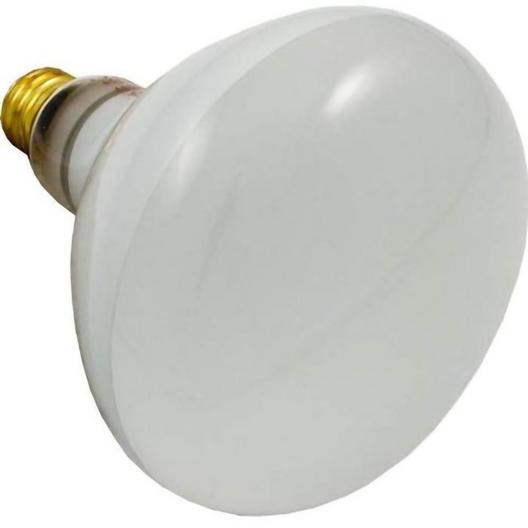 Sta-Rite  500W 120V Reflector Flood bulb screw-in