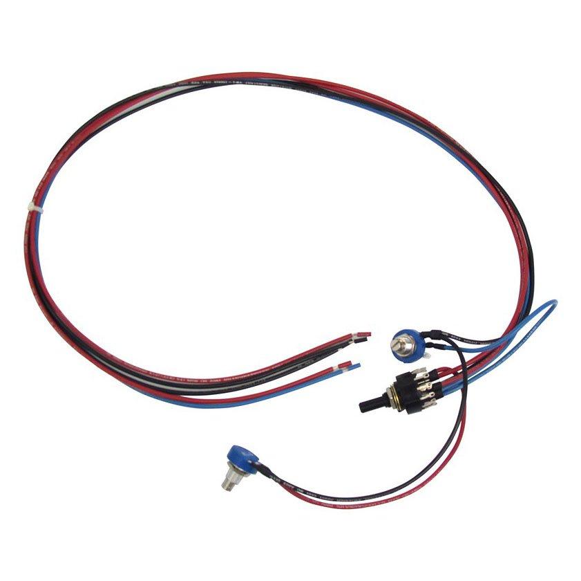 Raypak  Potentiometer