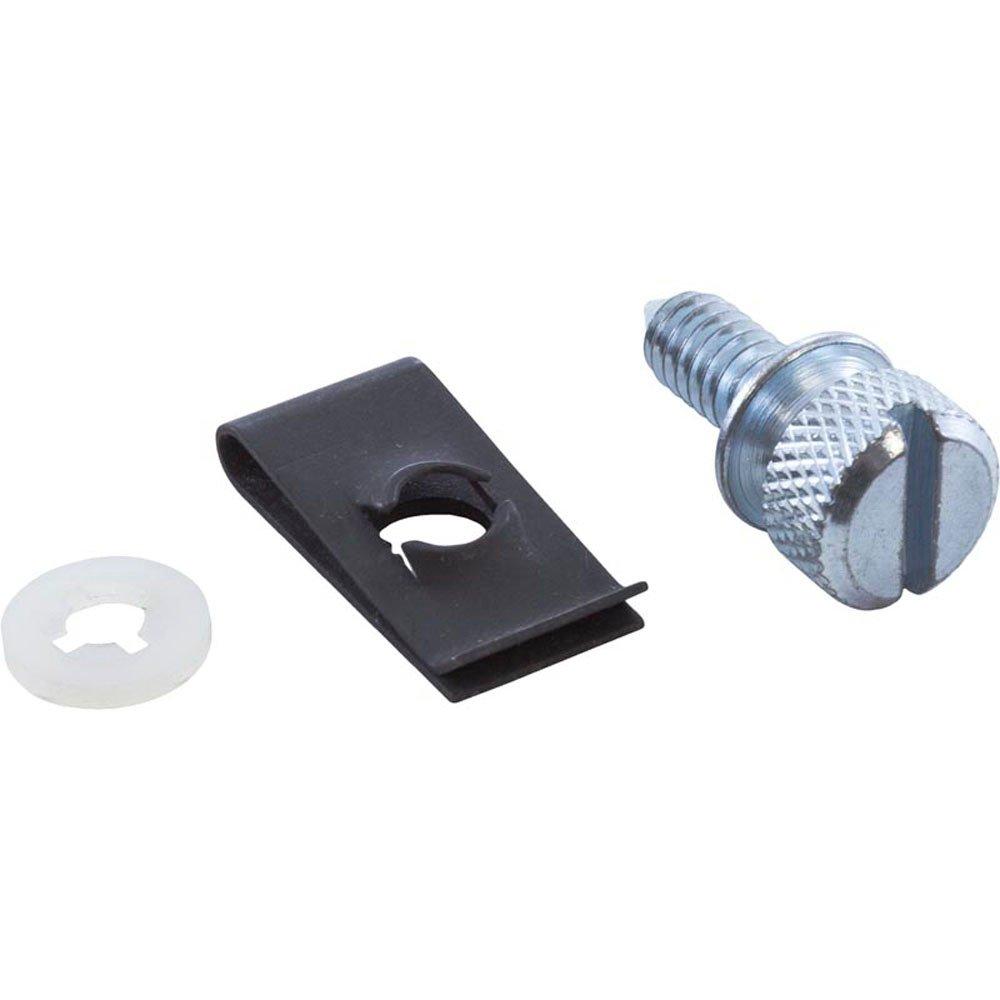Raypak  Access Panel Screw and Retainer