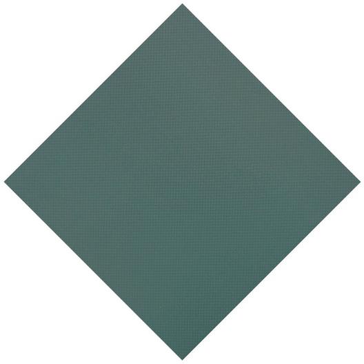Leslie's  Pro Supreme Solid 20 x 40 Rectangle with 4 x 8 Left Side Step Safety Cover with Kleen Screen Drain Green