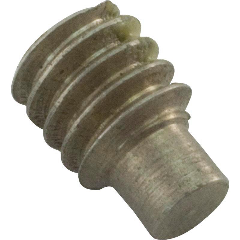 Pentair  Replacement Screw 1/4  20 x 3/8 s/s