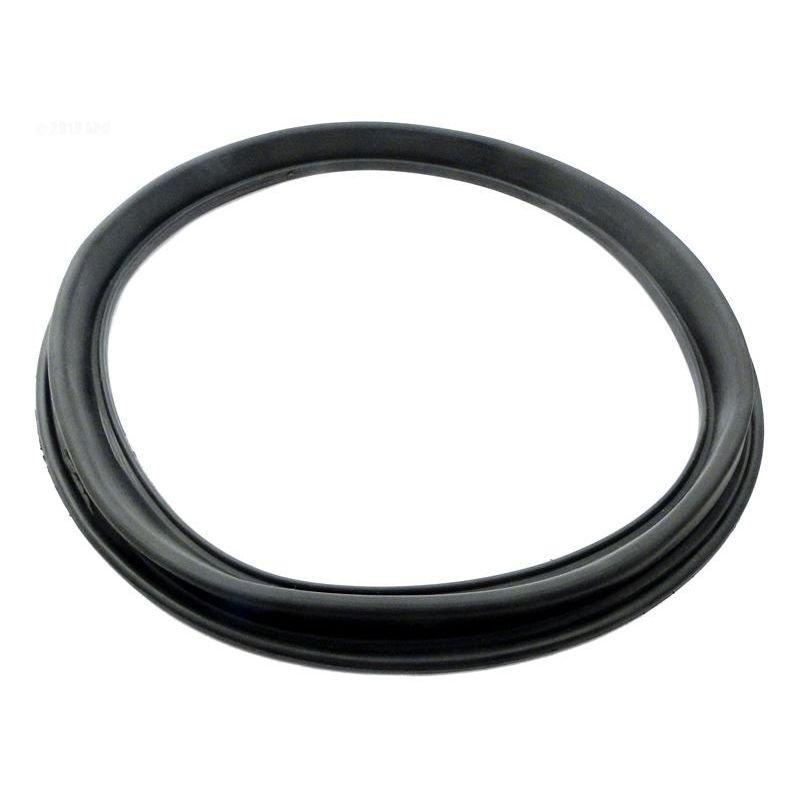 Epp Gasket Diaphragm APCG3276 In The Swim