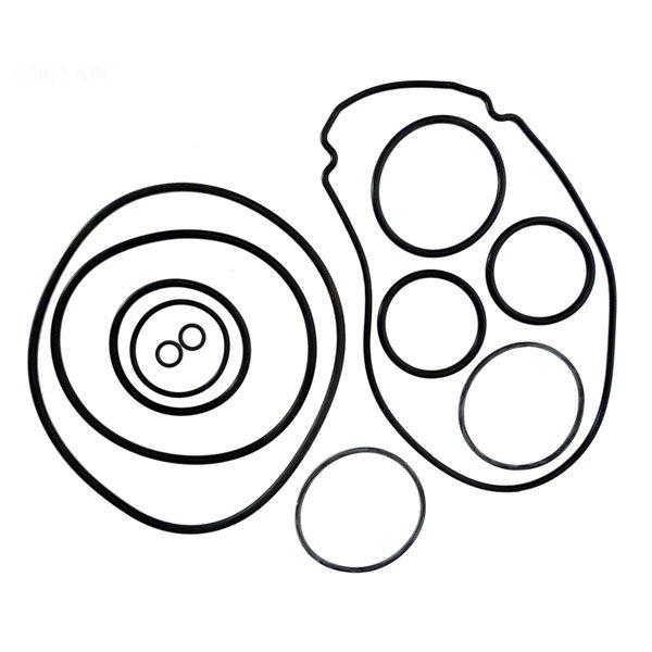Jandy  O-Ring Set Complete
