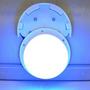 Smart Lite LED Pool Light for Steps and Entry Systems