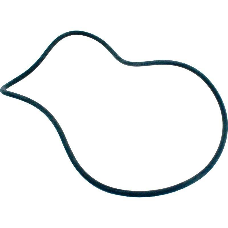 Sta-Rite  O-Ring tank