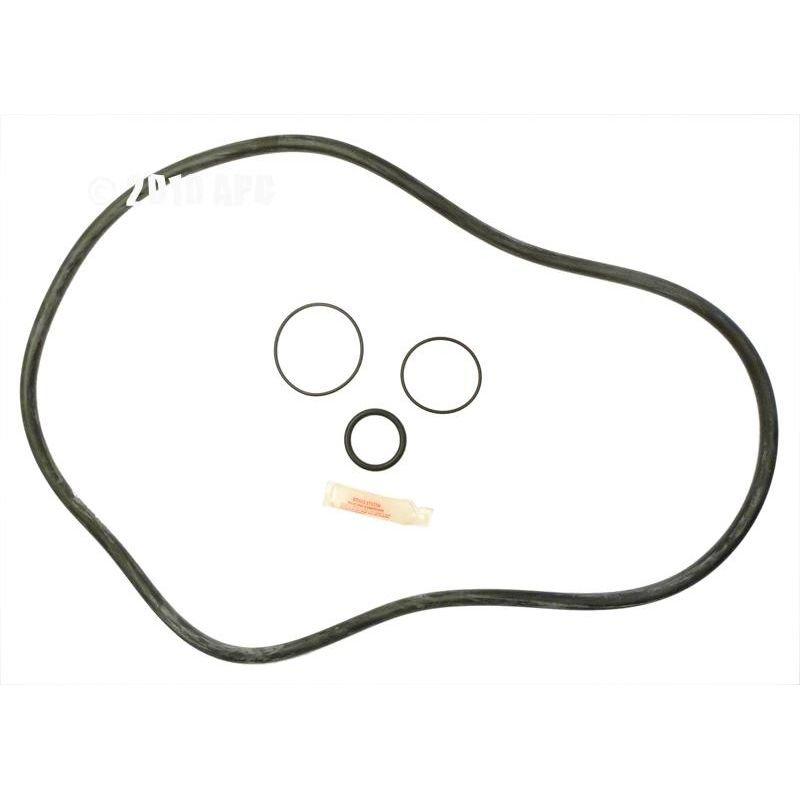 Epp  Pentair FNS Plus Poly filter o-ring repair kit