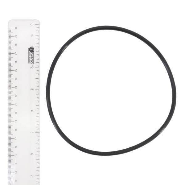 Pentair  Replacement O-ring skimmer bottom