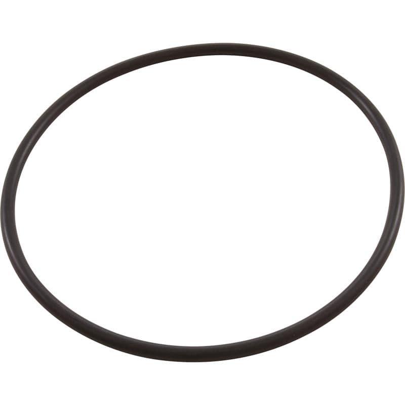 Pentair  Replacement O-ring skimmer bottom