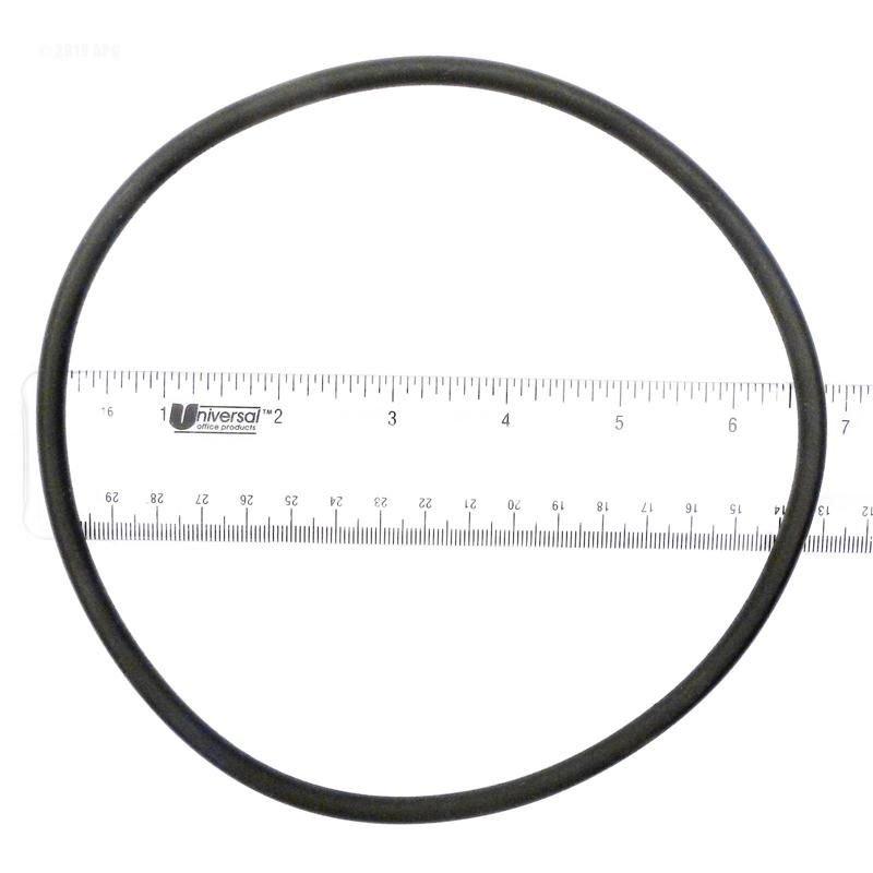 Replacement O-Ring lid  (a)