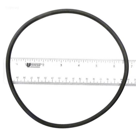 Epp  Replacement O-Ring lid (a)