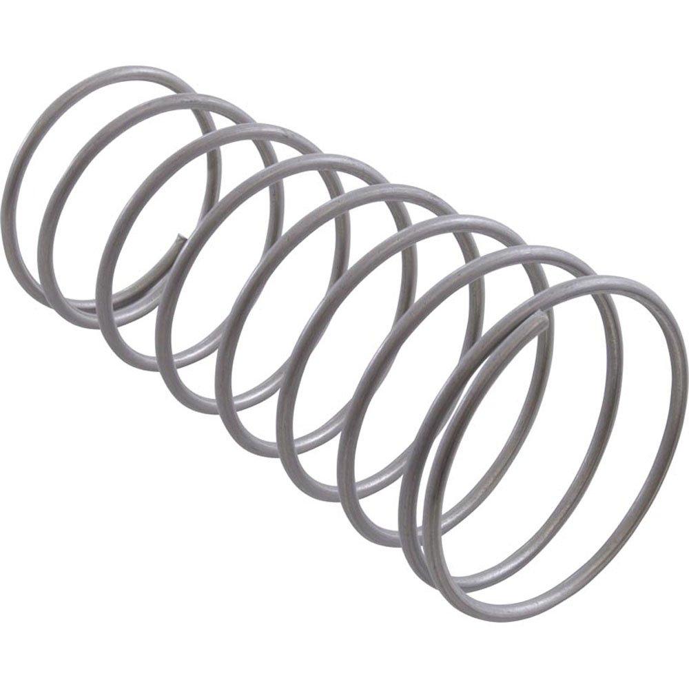 Waterway  Replacement Filter Internal Spring