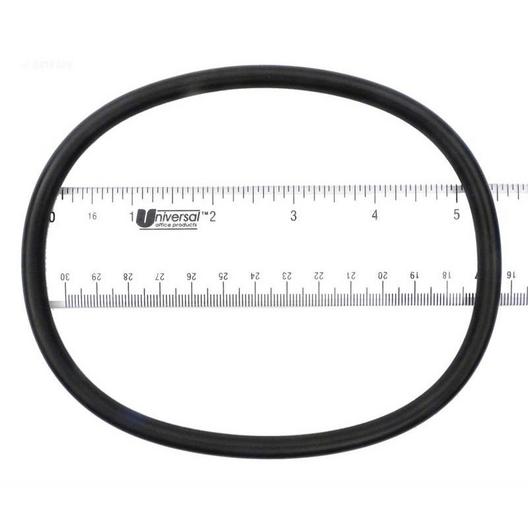 Epp  Replacement O-Ring lid