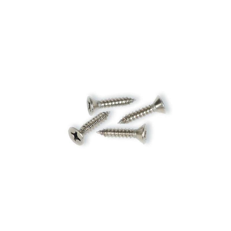 Leisure  SKIMMER SCREW SET